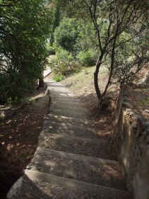steps to cabanon (1 of 1)