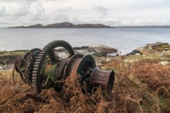 20121124-IMG_3721DEW