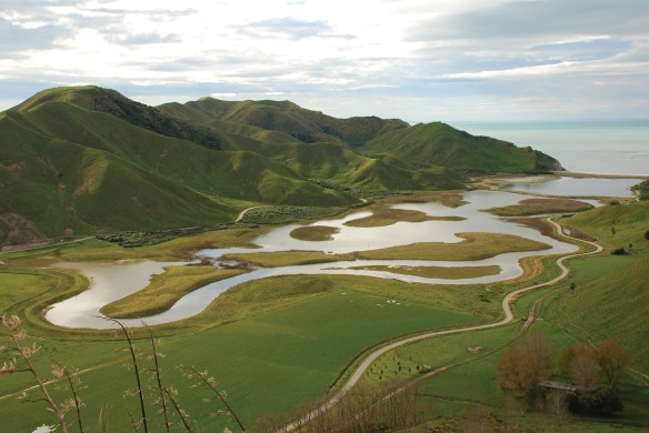 215_NBW_ch4_037[1A]_master_med