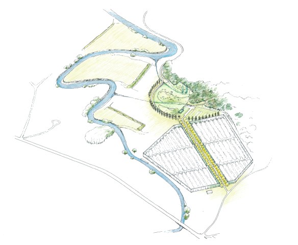 cemeteryaxon_master_med