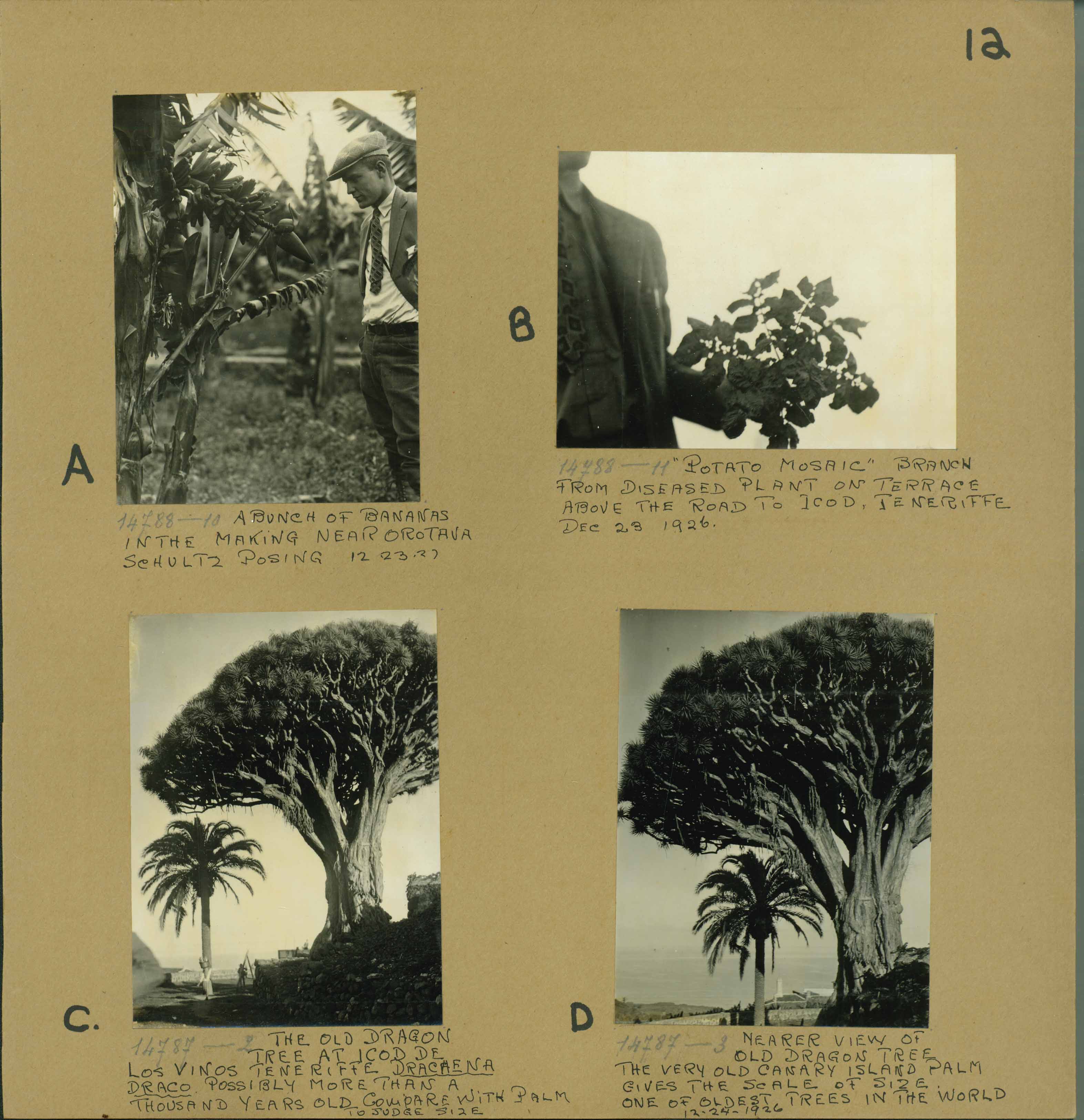 Photo_3_scrapbook_page